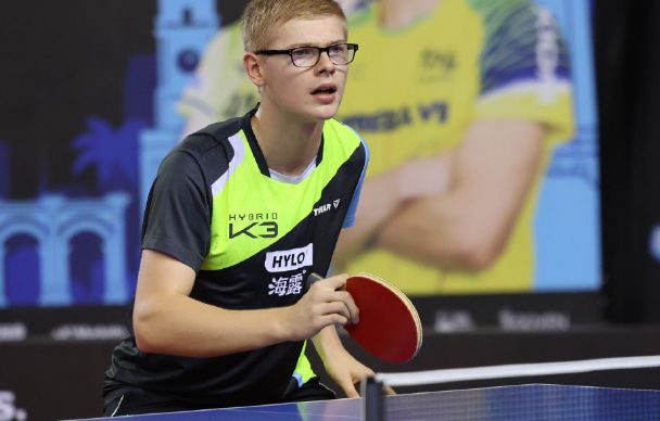 领域都有着 领域都有着